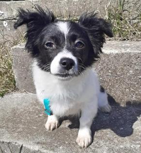 Hera -Pflegestelle gefunden