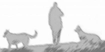 Diensleistungen rund um Haustiere