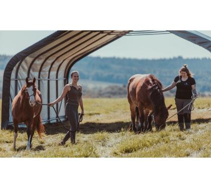 Verkaufe ab 999, - € mobile übergrosse Weidezelte