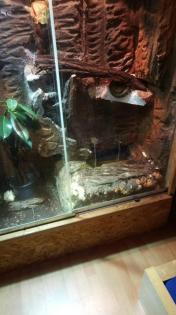 Hoch-Terra mit Beregnungsanlage und voll Ausgestattet ohne Tiere VB