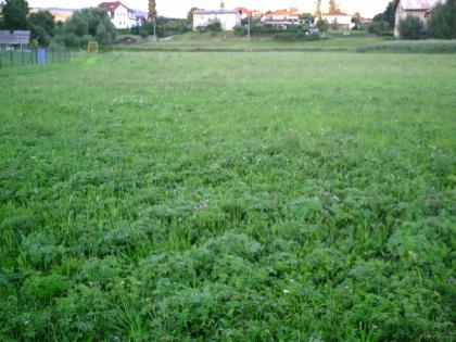 Gundstück zu verkaufen in Tschechei 12400qm als kapital anlage oder zu bebauen i