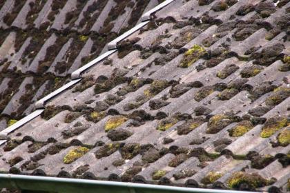 MOOSALARM - Profis für Dachreinigung - Dachinstandhaltung Franken, Oberpfalz, Ob