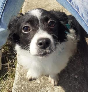 Hera -Pflegestelle gefunden