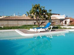 // Teneriffa-Urlaub // Finca San Fermin 