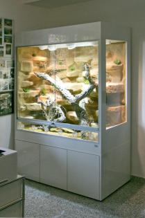 Terrarium Wüste/ Steppe z.B. für Bartagamen