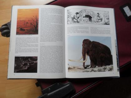 Bildband Dinosaurier