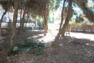 Griechenland in Nea Makri (Marathon) Bauland in einer schoenen ruhigen Lage zu v