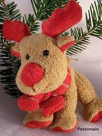 Petdomain.de - Gewinnspiel