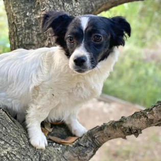 Hera -Pflegestelle gefunden