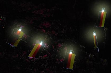 Solar Lichterkette, 20 Deutschland Flaggen-Motiv, 8, 70 m lang