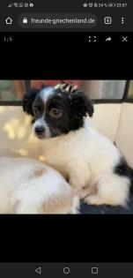 Hera -Pflegestelle gefunden