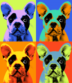 Ihr persönliches, einzigARTiges Kunstwerk (im Pop Art Stil by Misaku)