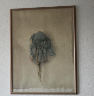 4 Bilder von Bruno Bruni Originallithografie mit Rahmen ca. 62, 5 x 82 cm.