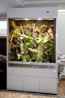 Hochwertige Terrarien in jeder Größe als exclusives Möbelstück