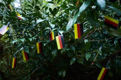 Solar-Lichterkette mit Deutschland-Flagge