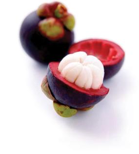 Gesund Trinken mit Mangostan und Xango