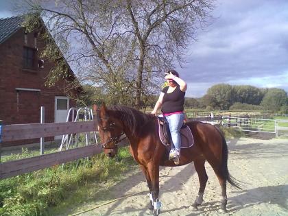 Liebe Traber stute sucht Dringend neues zuhause!!!