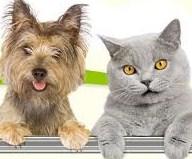 Heimtierbedarf Hundebedarf Katzenbedarf Hundefutter Katzenfutter 