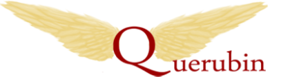 Schauen Sie in die Zukunft und nutzen Sie ein 15min Gratisgespräch bei Querubin.