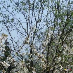 Maximilia in einem Gratisgespräch von 15 Minuten testen - JETZT NEUKUNDE WERDEN!