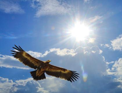 Nie wieder Sorgen wegen der Rente