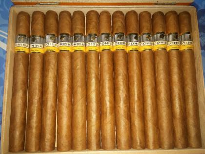 Cohiba Esplendidos Kiste 25 Stück