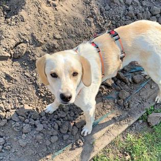 Candy - hat ihre Schwester verloren