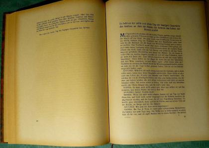 Sammlerbuch Pietro Aretino von 1921. BU007