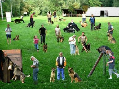 Hundeschule, Hundetraining,