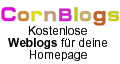 Geld verdienen mit bloggen