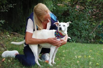 CELINE - Labrador-Mix - 7 Jahre - Tierhilfe-Franken e.V.