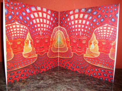 Tool - 10 000 Days 2LP