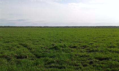 Bauernhof Ukraine, gratis mit Pachtland in jeder Grösse