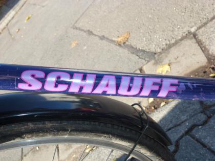 (160) 7 Gang Rücktrittsbremse SCHAUFF 28 Zoll Rh 57