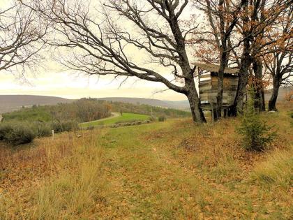 Verkauf Bauernhaus im Luberon - Alpes de Haute Provence