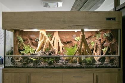 Aqua-Terrarium / Paludarium z.B: für Krokodilschwanzechsen