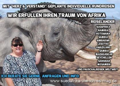 Traumziel Südafrika? Individuelle Selbstfahrer Reisen oder von uns betreute Klei