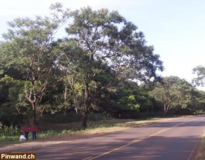 111.010m² PARAGUAY RESIDENZGRUNDSTÜCK ORTSEINFAHRT INDEPENDENCIA