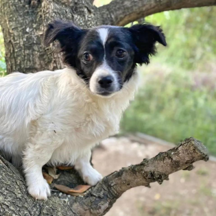 Hera -Pflegestelle gefunden