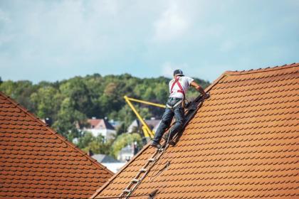 MOOSALARM - Profis für Dachreinigung - Dachinstandhaltung Franken, Oberpfalz, Ob