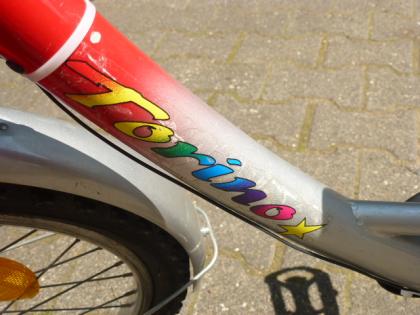 (140) 3 Gang Rücktrittsbremse tiefer Einstieg TORINO 20 Zoll Rh 30