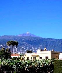 Finca Fugaz in Puerto de la Cruz