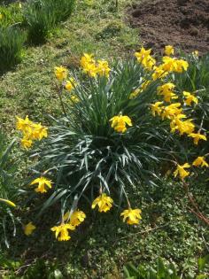 Insel Fehmarn in der Ostsee