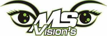 !!! MS Visions bietet Privatinvestoren eine  Beteiligung !!!