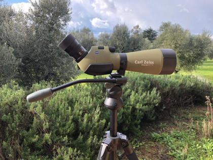 Zeiss Diascope 85 T FL grün + Velbon Sherpa Pro CL 641 EL Carbon Stativ