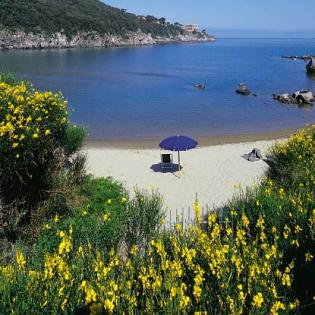 Ferienwohnung Insel Ischia Last Minute