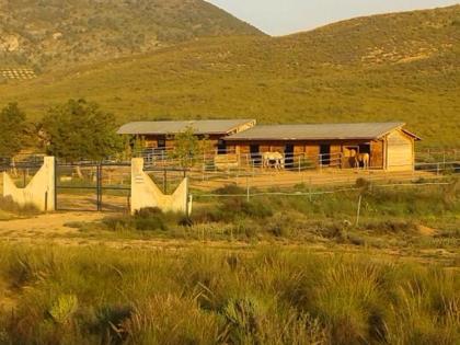 *Sonderpreis* ca. 138000 qm Land mit Pferderanch und 2 Finca zu verkaufen!!!