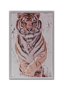 Die Heizung der Zukunft: Infrarotheizung