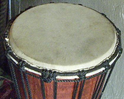 Djembe 50cm profiteil