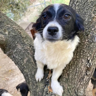 Hera -Pflegestelle gefunden